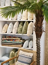 Mediterranean decoration display with decorative cushions, colourful textiles, artificial palm tree and natural woven furniture Mediterranean decoration display with decorative cushions, colourful textiles, artificial palm tree and natural woven furniture