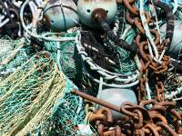 foto incio la llotja